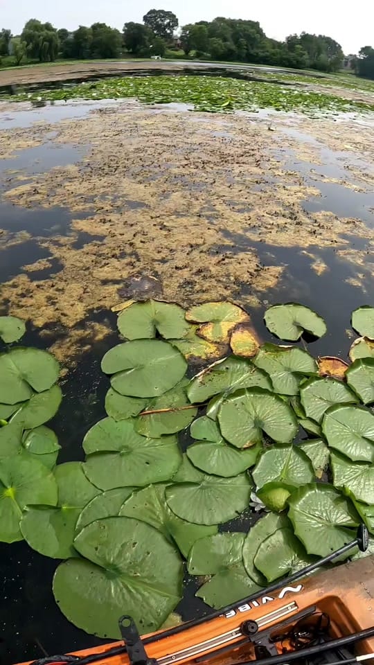 Post 6 by Brian T. Johnson on TikTok (video)