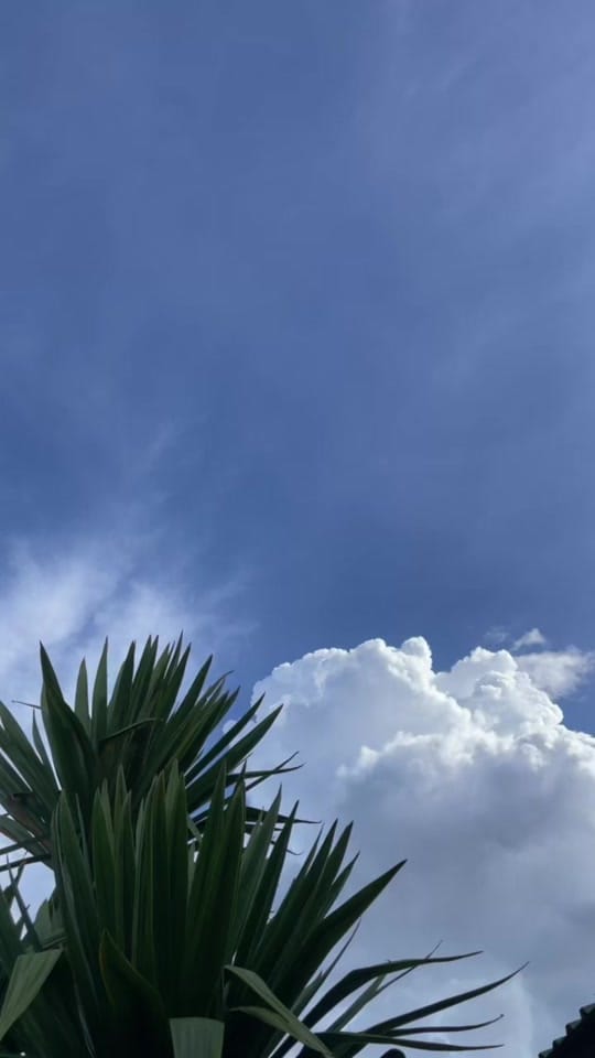 Post 6 by zakariyah manda on TikTok (video)