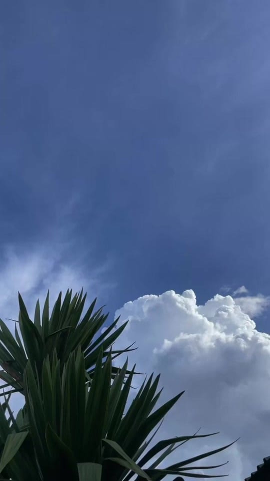 Post 7 by zakariyah manda on TikTok (video)