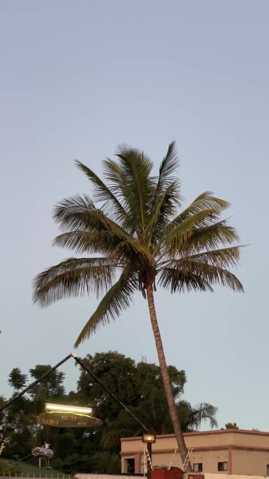 Post 3 by zakariyah manda on TikTok (video)