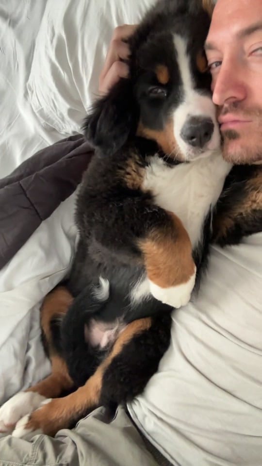 Post 10 by rynebelanger on TikTok (video)