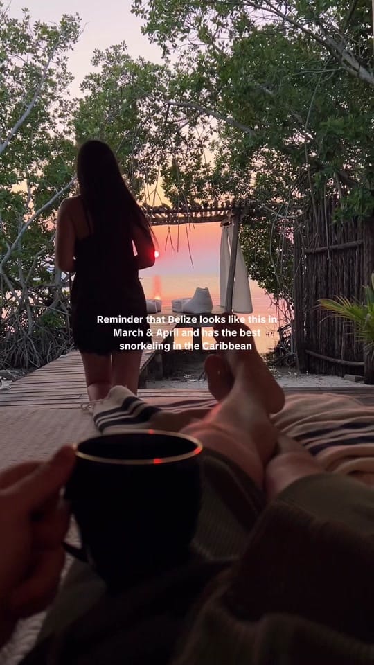 Post 8 by Riley ✈️ on TikTok (video)
