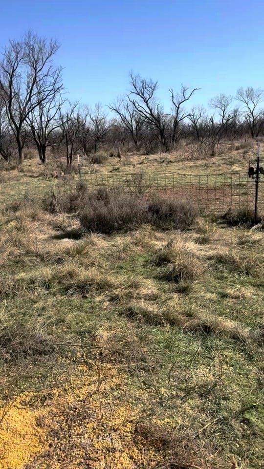 Post 9 by Texas Strong Outdoors on TikTok (video)