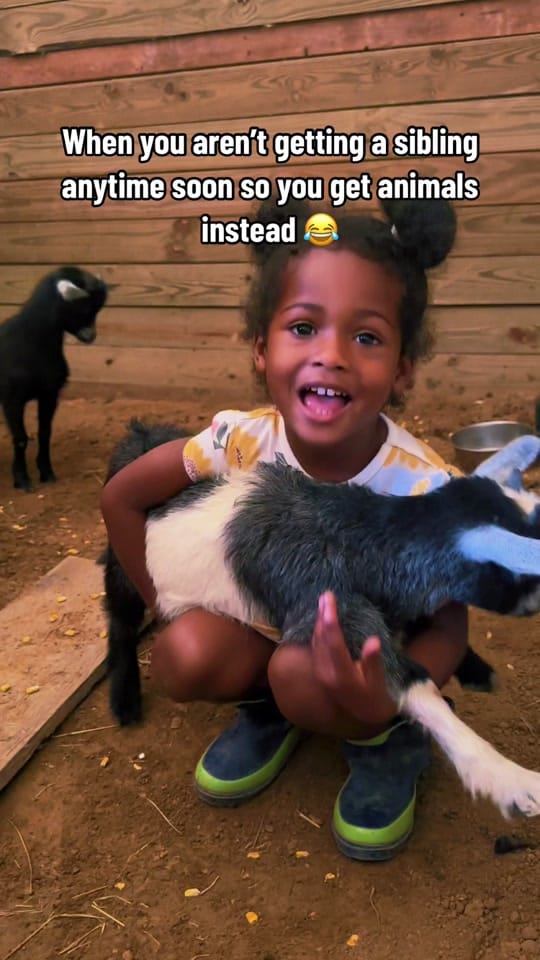 Post 9 by Jalisa. on TikTok (video)