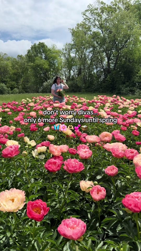 Post 3 by Bridget Lucille on TikTok (video)
