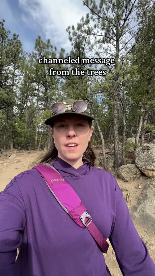 Post 3 by Lindsey | Meant to Bea on TikTok (video)
