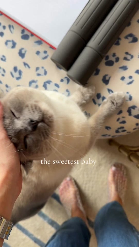 Post 6 by Sarah Edwards on TikTok (video)