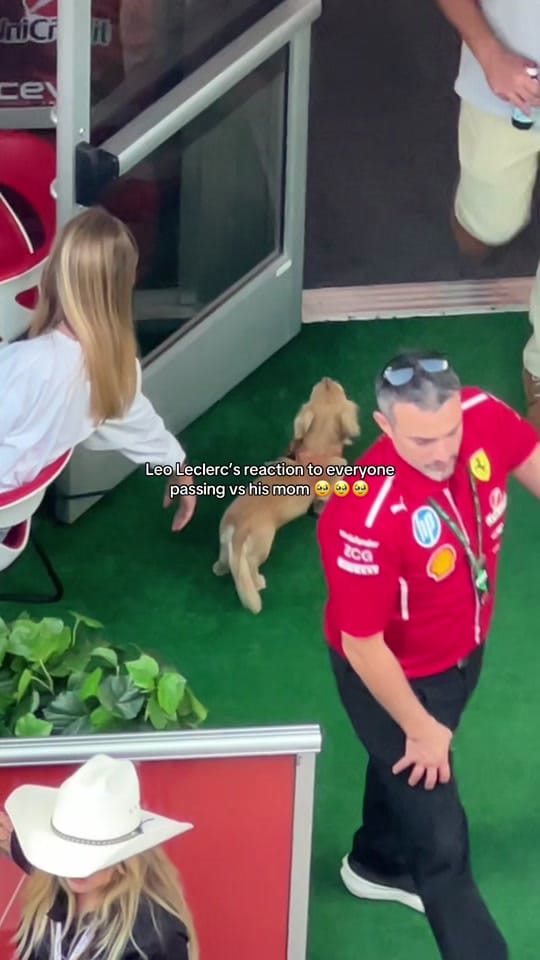 Post 8 by emina | sports & lifestyle on TikTok (video)