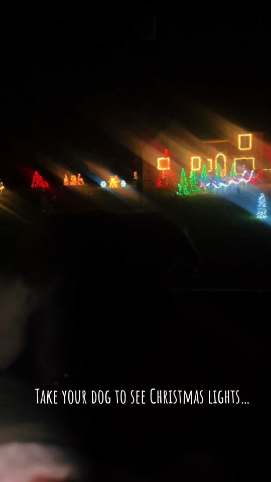 Post 7 by Mia Rankin on TikTok (video)
