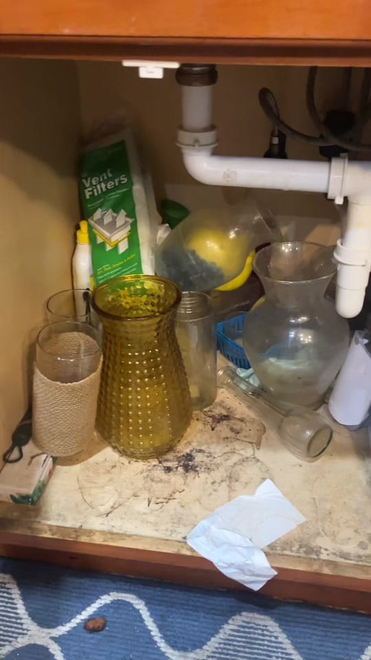 Post 5 by Amanda | mom + paralegal on TikTok (video)