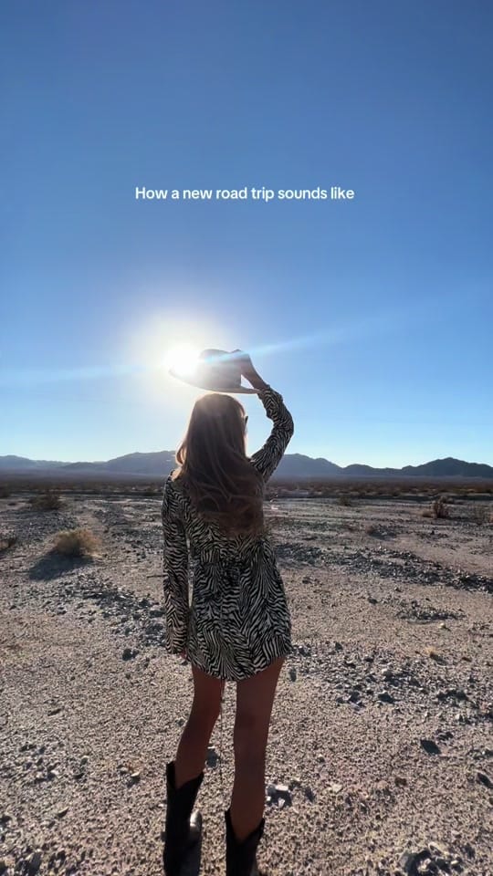 Post 3 by Alexandra-The American Project on TikTok (video)