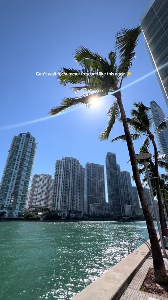 Post 1 by Alexandra-The American Project on TikTok (video)