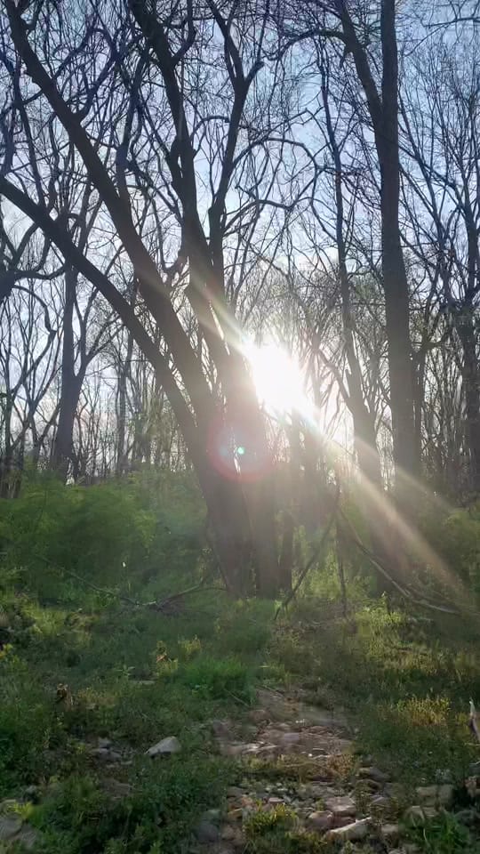 Post 1 by Pa Stone Balance on TikTok (video)