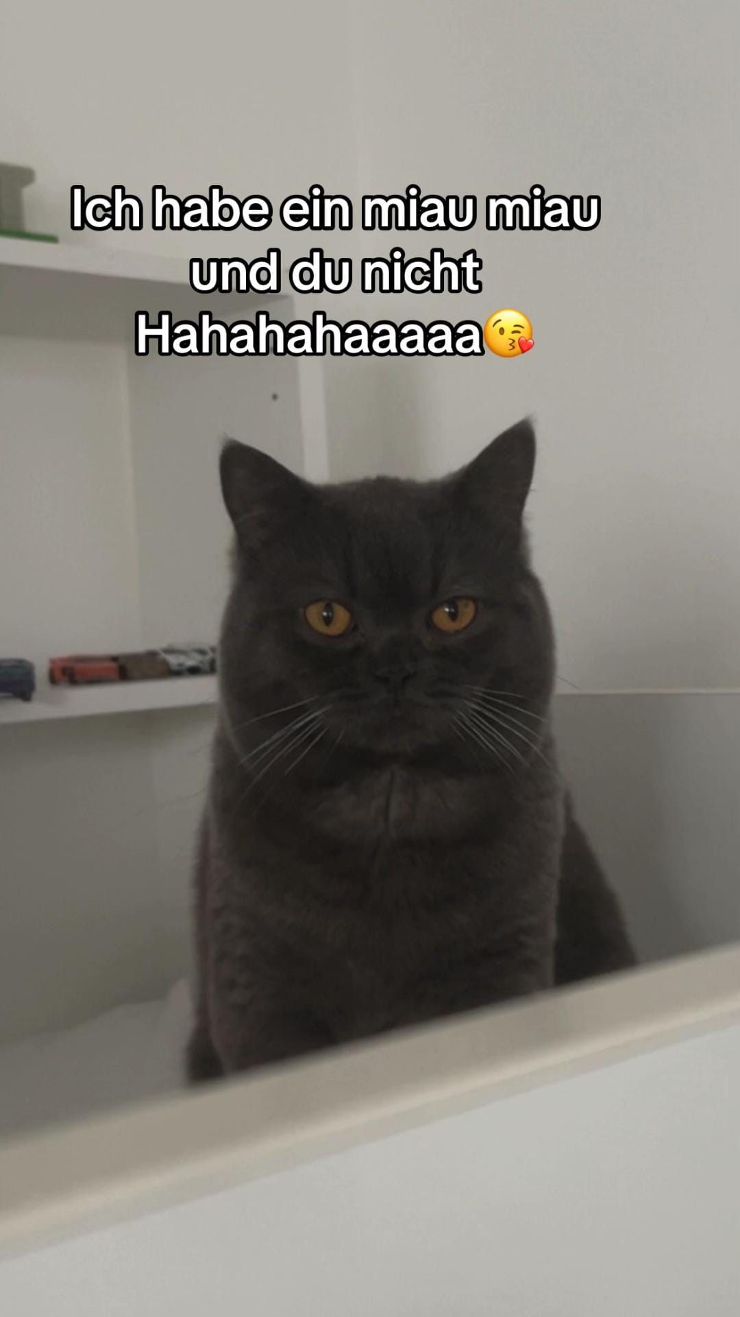 Post 5 by Adrian California🍫🇦🇱 on TikTok (video)