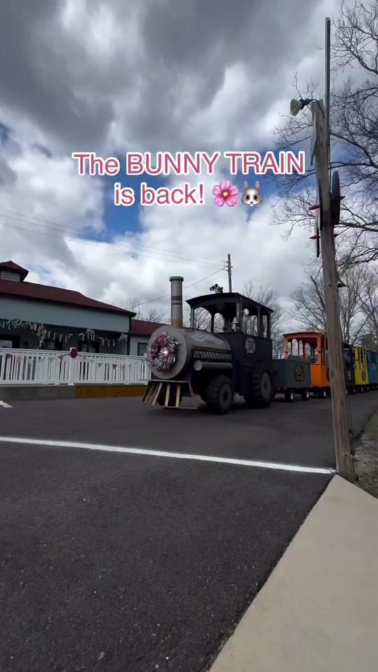 Post 4 by NJMOM on TikTok (video)