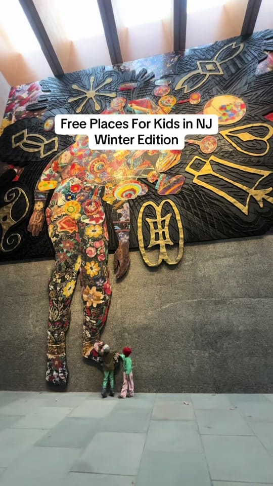 Post 9 by NJMOM on TikTok (video)