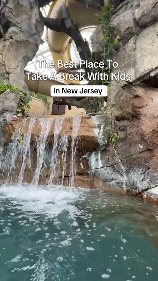 Post 8 by NJMOM on TikTok (video)