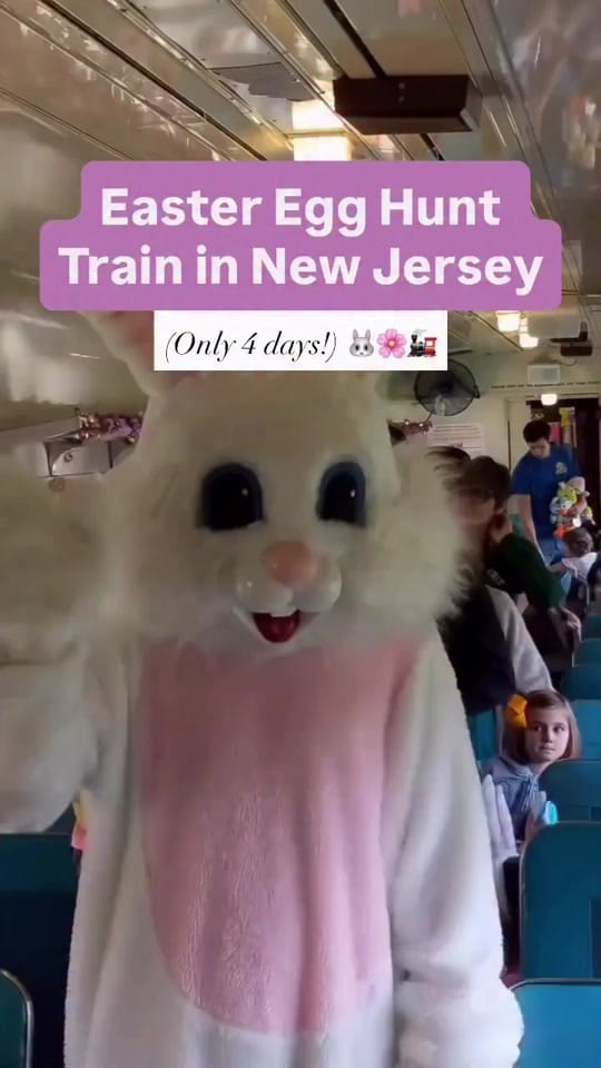 Post 2 by NJMOM on TikTok (video)