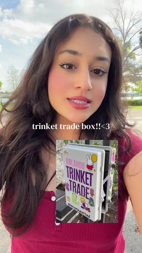 Post 3 by she styled this on TikTok (video)