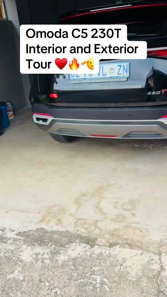 Post 2 by Alex Mzizi 🇿🇦🇺🇸 on TikTok (video)