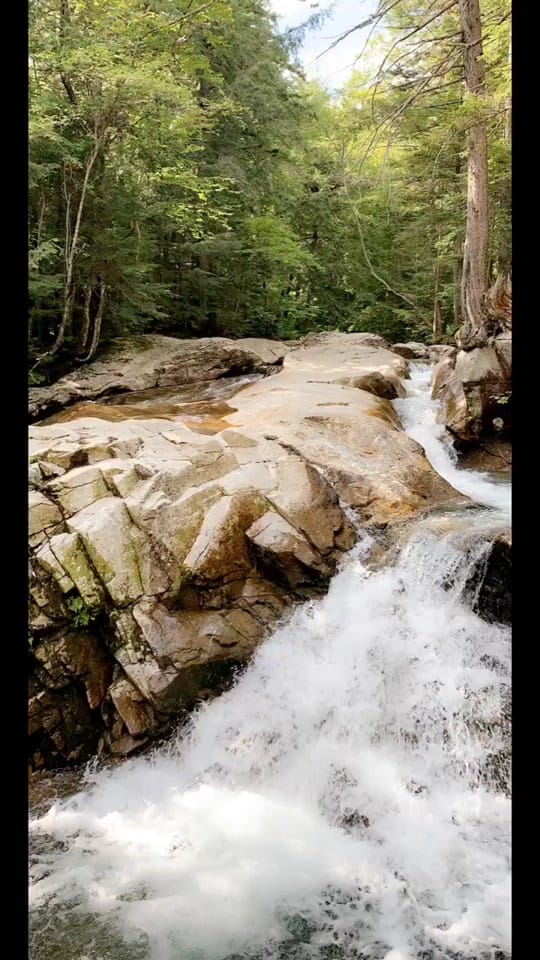 Post 7 by Chelsea on TikTok (video)