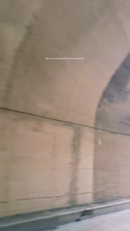 Post 8 by ashlyn haag on TikTok (video)