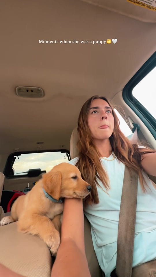 Post 9 by ashlyn haag on TikTok (video)