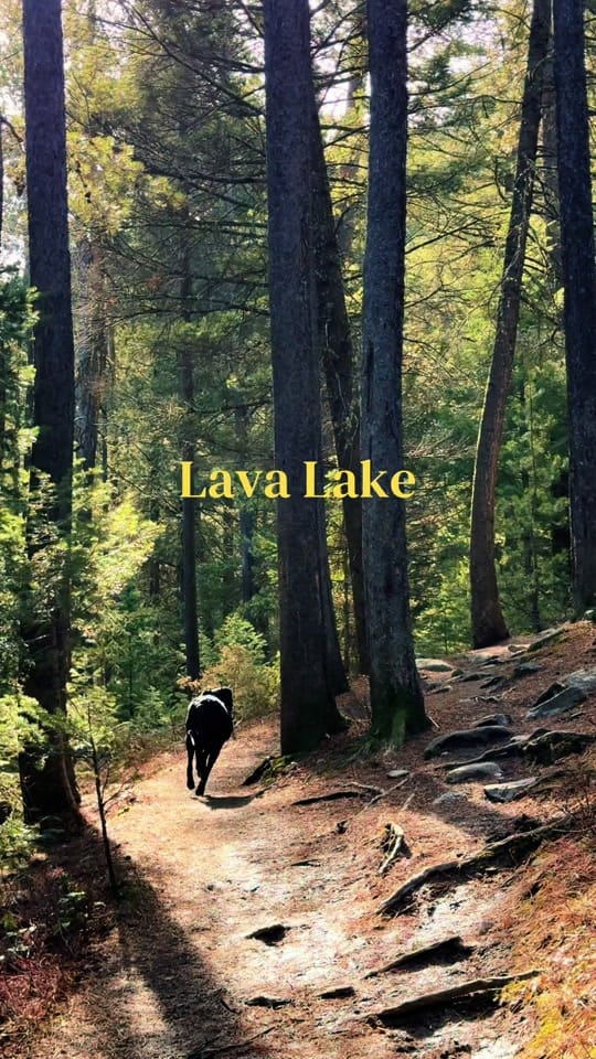 Post 3 by ashlyn haag on TikTok (video)
