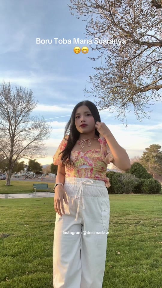 Post 3 by Desima Situmorang di Amerika on TikTok (video)