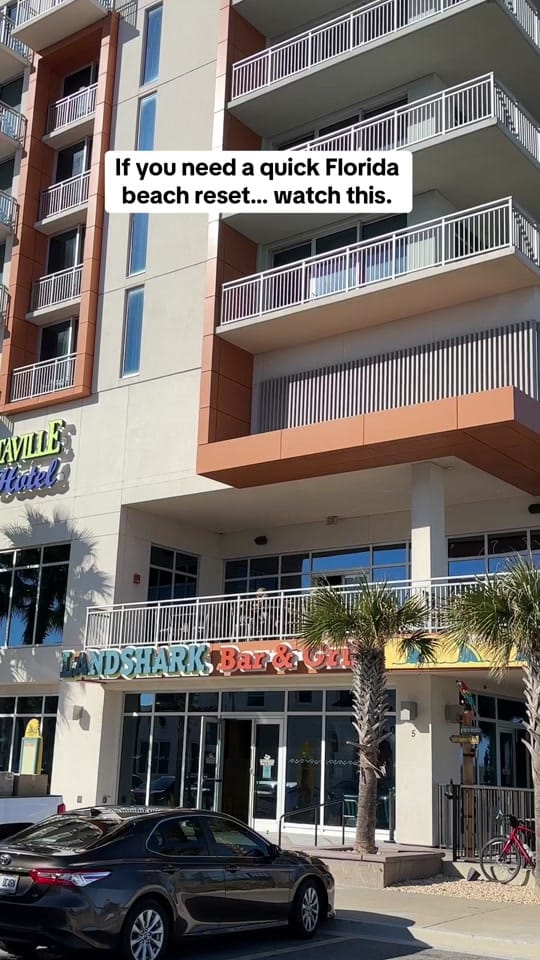 Post 2 by thefloridainsider on TikTok (video)