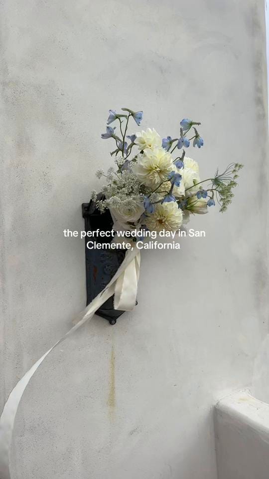 Post 2 by CA Wedding Photographer on TikTok (video)