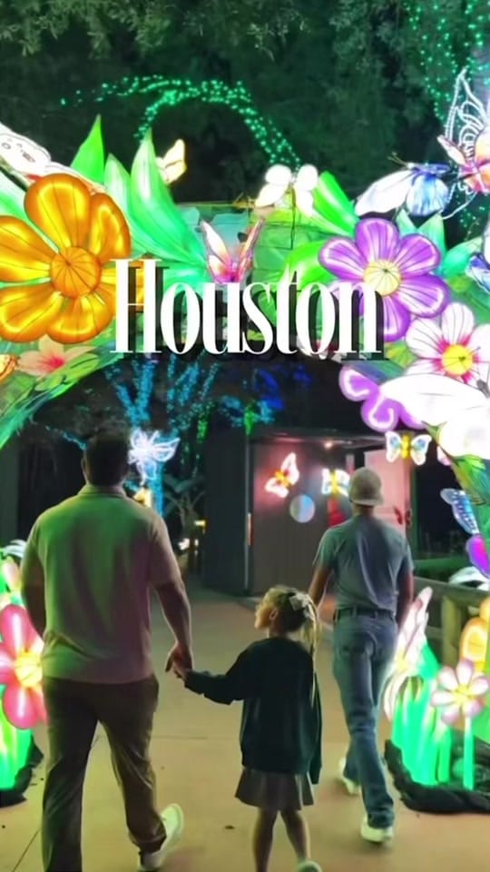Post 9 by Michelle Hammons on TikTok (video)