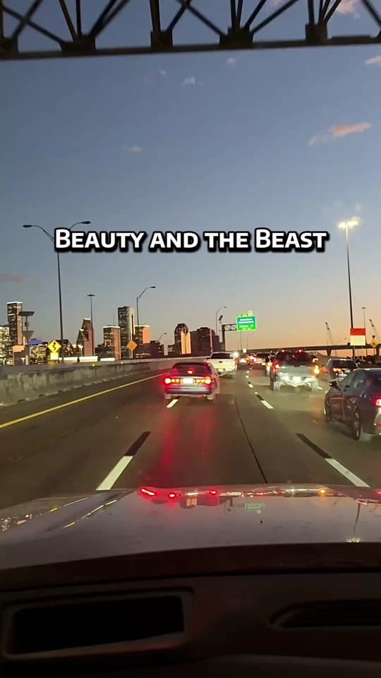 Post 6 by Michelle Hammons on TikTok (video)