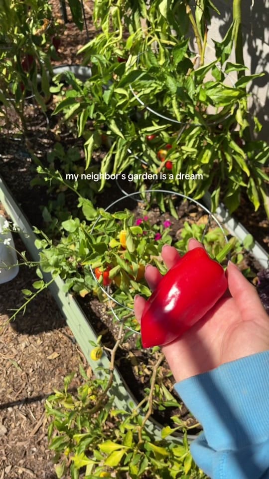 Post 1 by annalee on TikTok (video)