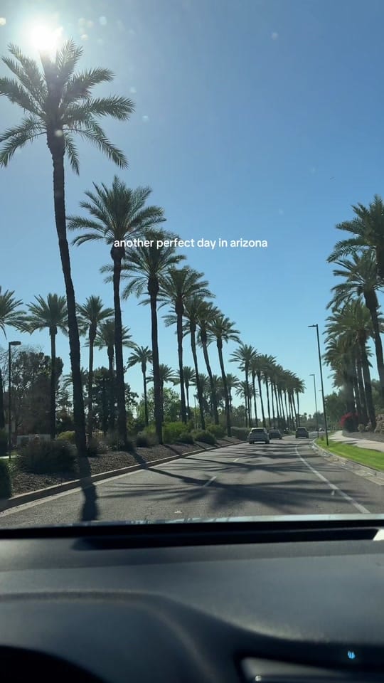 Post 6 by annalee on TikTok (video)