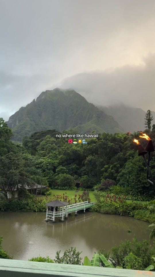 Post 8 by Vanessa | Foodie & Traveler ✨ on TikTok (video)