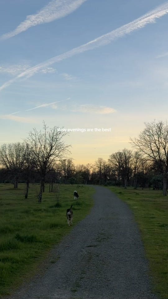 Post 2 by Vanessa | Foodie & Traveler ✨ on TikTok (video)