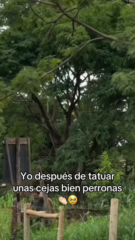 Post 8 by pmubypriss on TikTok (video)