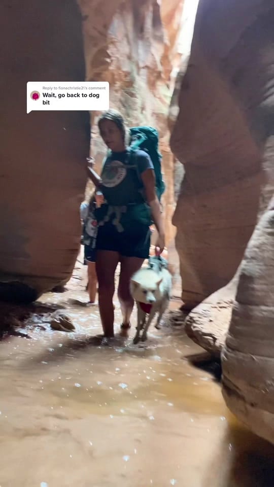 Post 9 by Emily West | Outdoor Adventure on TikTok (video)