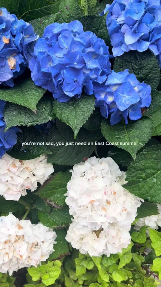 Post 3 by Jaymi on TikTok (video)