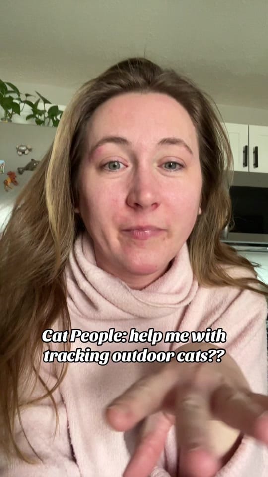 Post 7 by Megan | Columbus Travel Food on TikTok (video)