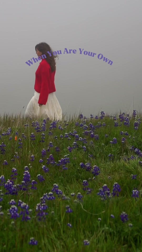 Post 5 by beardenphoto on TikTok (video)