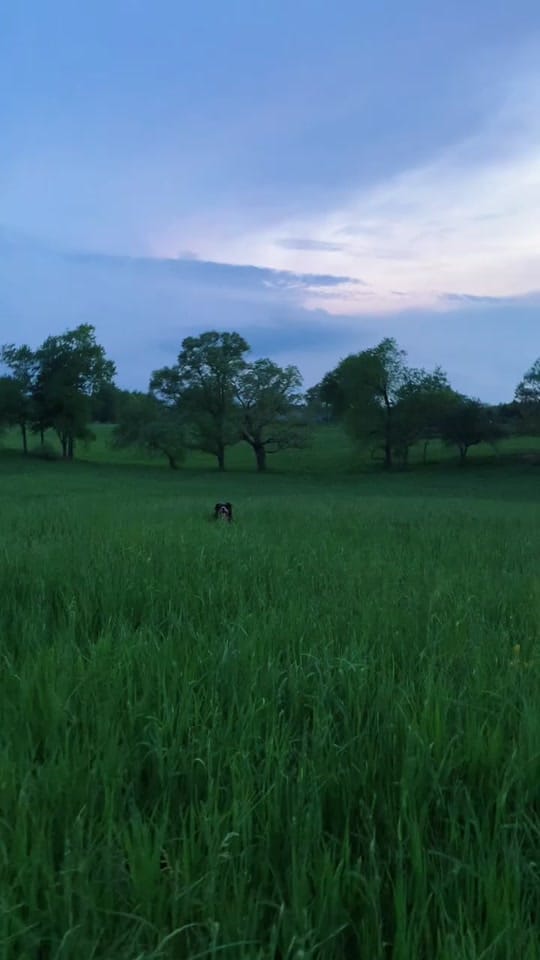 Post 10 by beardenphoto on TikTok (video)