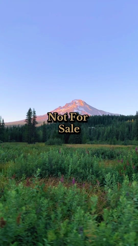 Post 4 by beardenphoto on TikTok (video)