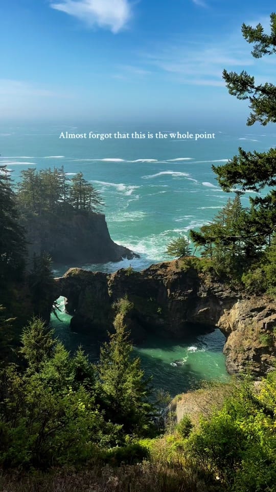 Post 7 by beardenphoto on TikTok (video)
