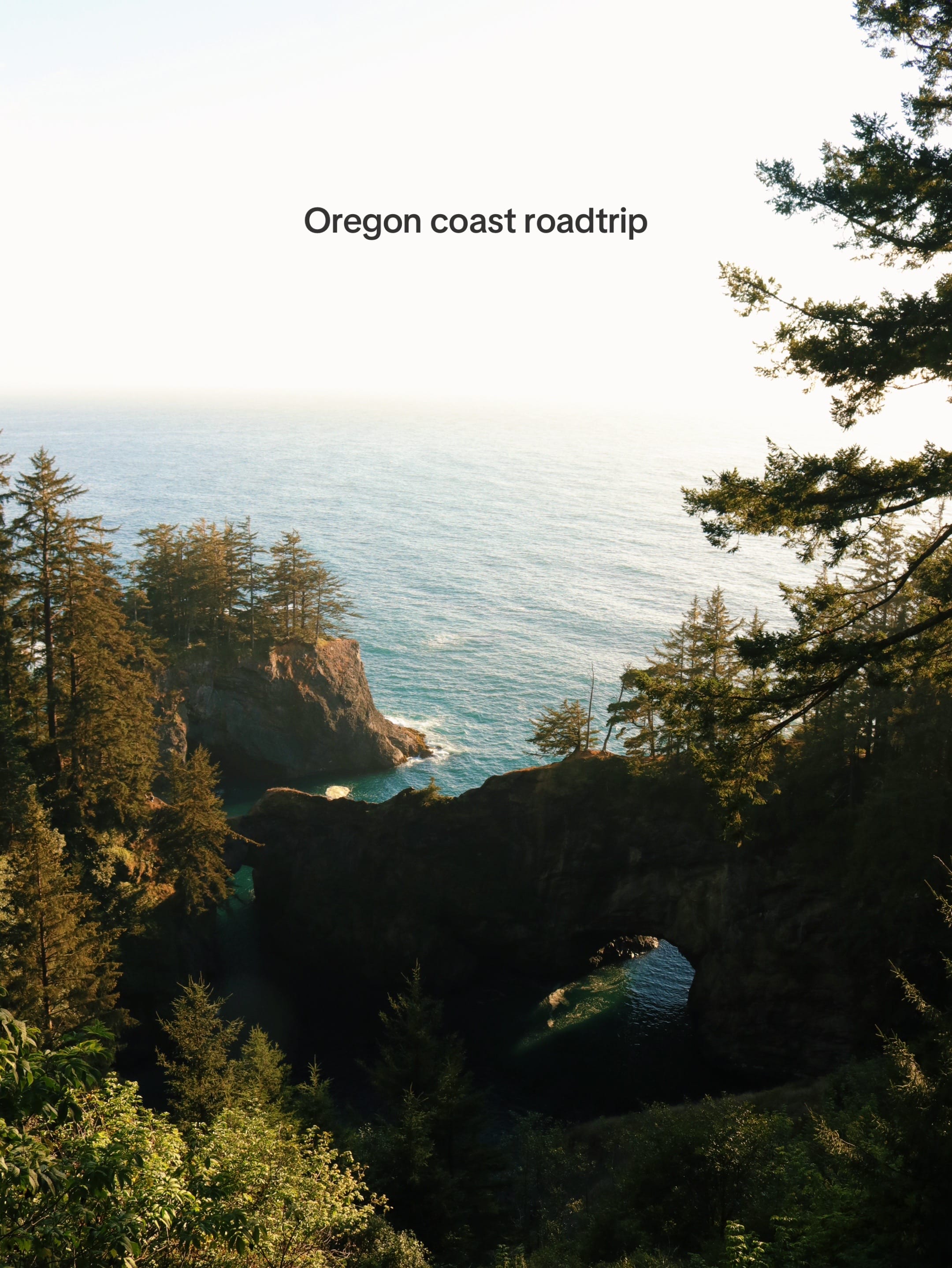 Post 9 by beardenphoto on TikTok (video)