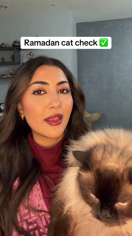 Post 6 by Humna Glam💋 on TikTok (video)