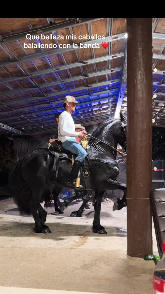 Post 3 by G&S Ranch on TikTok (video)