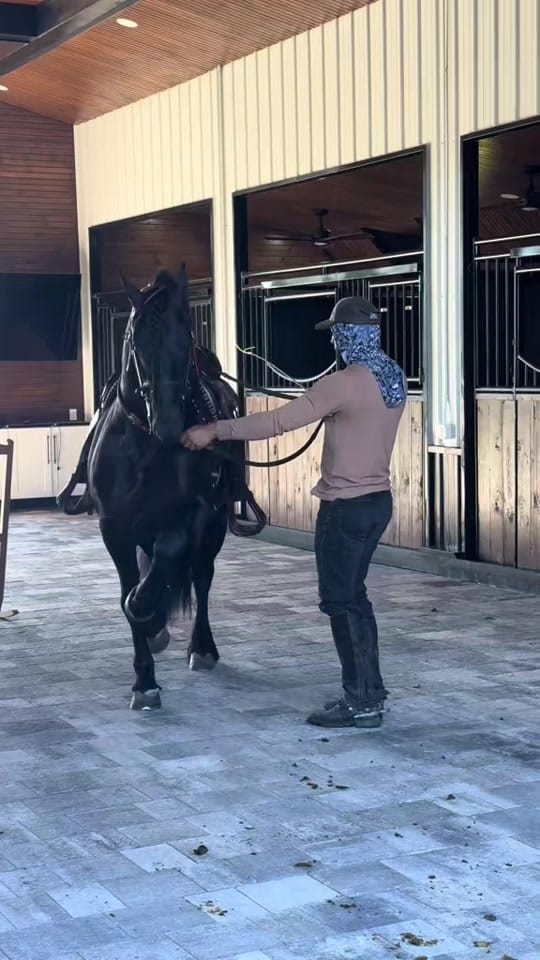 Post 2 by G&S Ranch on TikTok (video)