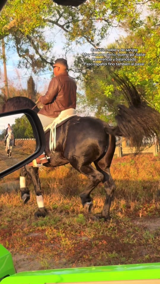 Post 5 by G&S Ranch on TikTok (video)